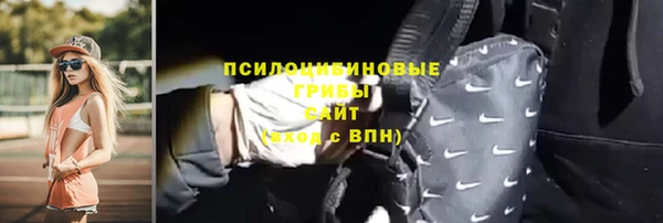 мет Арсеньев