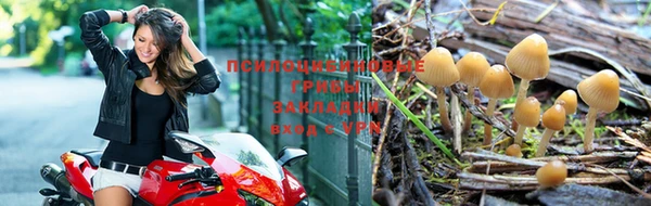 мет Арсеньев