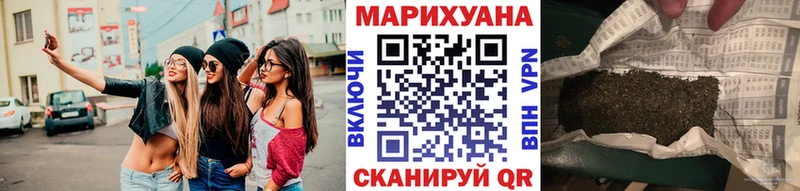 кракен как зайти  Новоалтайск  Шишки марихуана индика 